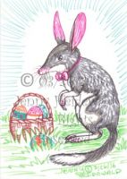 Easter Bilby